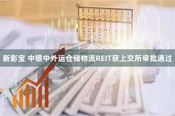 新影宝 中银中外运仓储物流REIT获上交所审批通过